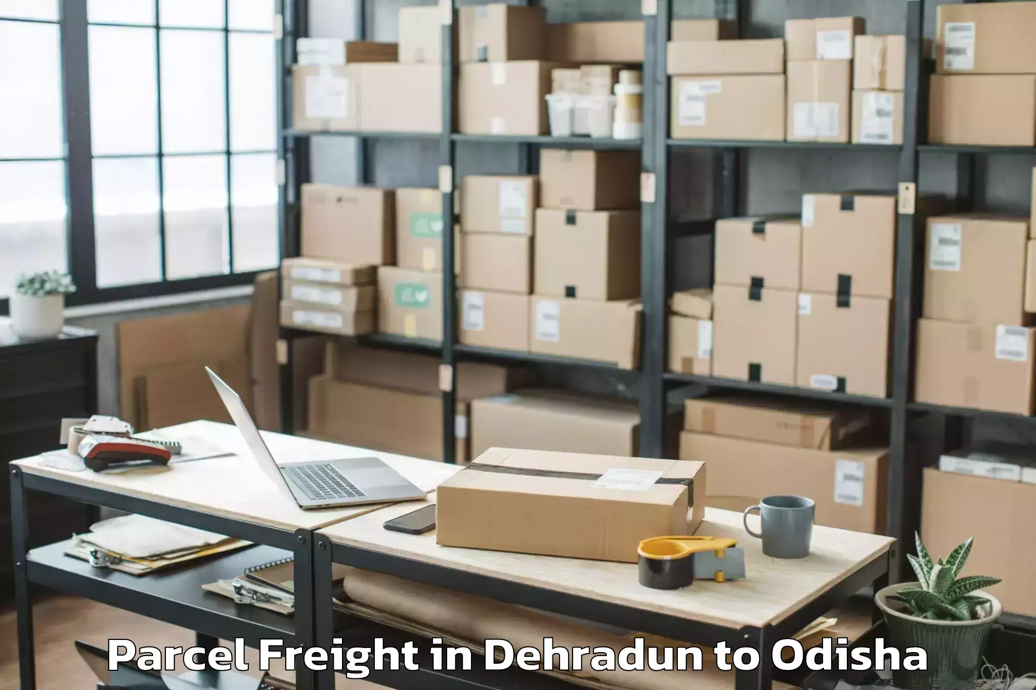 Book Dehradun to Hinjili Parcel Freight Online